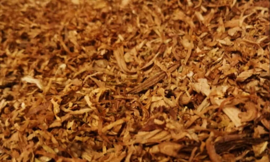 Детальное изображение расширенных стеблей табака